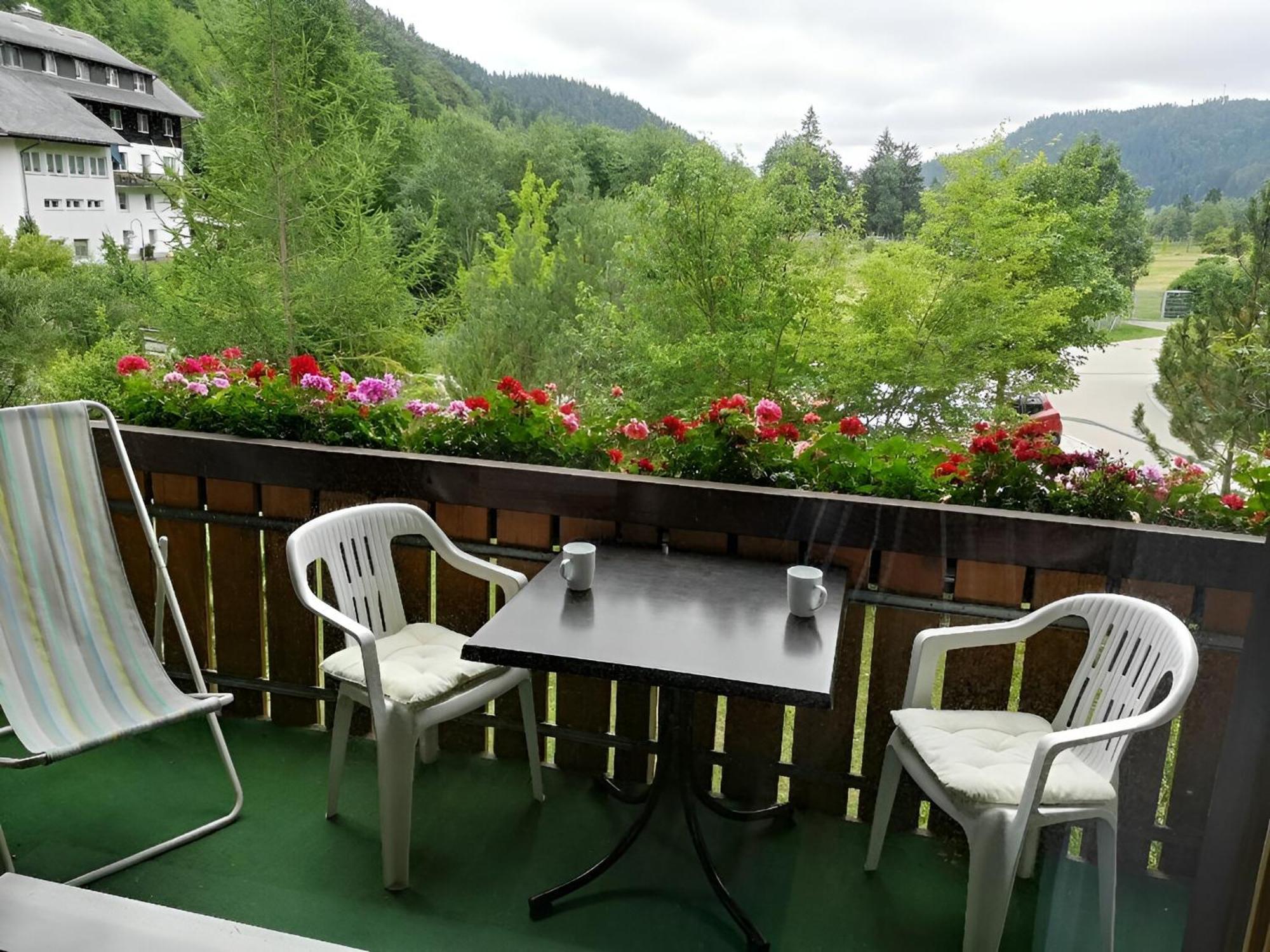 Naturidyll Am Fluss - Ferienhaus Albmatte - Grosser Garten Zum Grillen Und Entspannen-Direkt Neben Dem Radon Revitalbad Mit Sauna Und Thermalbecken St. Blasien Exterior photo