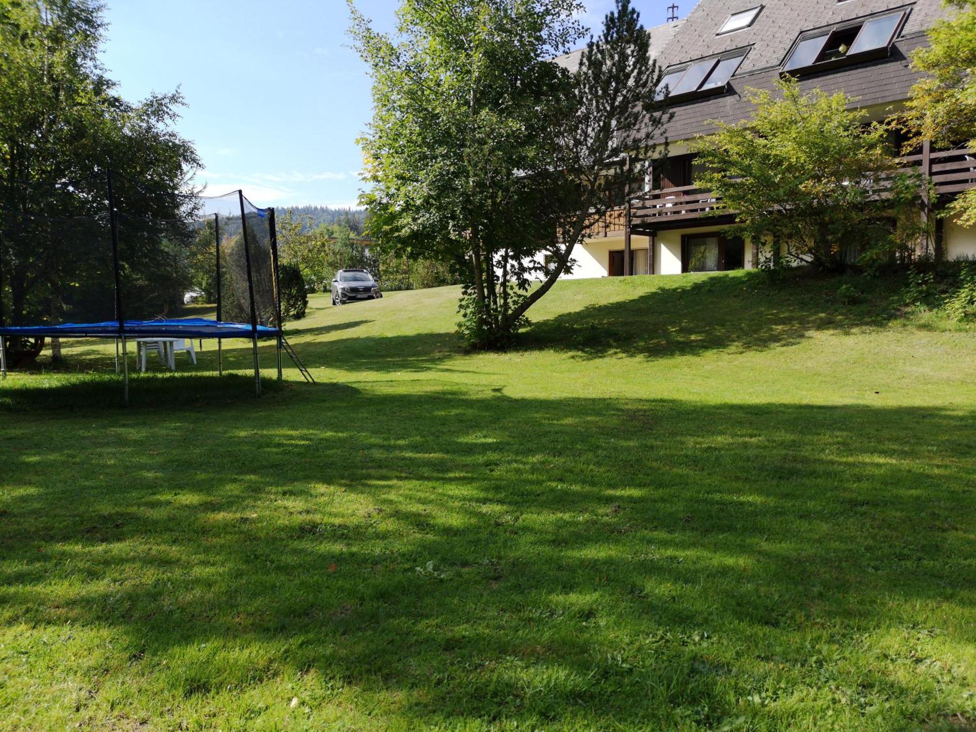Naturidyll Am Fluss - Ferienhaus Albmatte - Grosser Garten Zum Grillen Und Entspannen-Direkt Neben Dem Radon Revitalbad Mit Sauna Und Thermalbecken St. Blasien Exterior photo