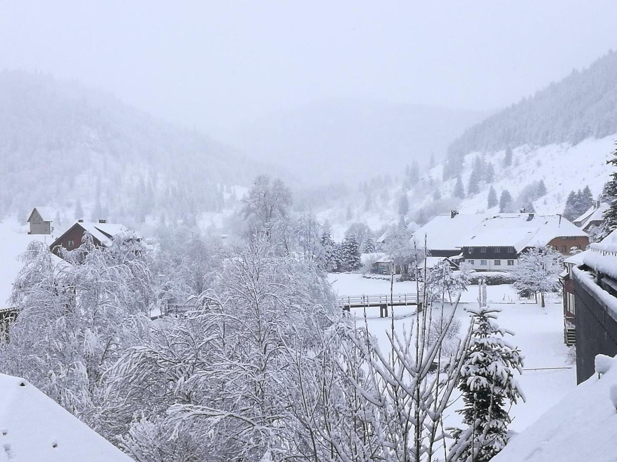 Naturidyll Am Fluss - Ferienhaus Albmatte - Grosser Garten Zum Grillen Und Entspannen-Direkt Neben Dem Radon Revitalbad Mit Sauna Und Thermalbecken St. Blasien Exterior photo