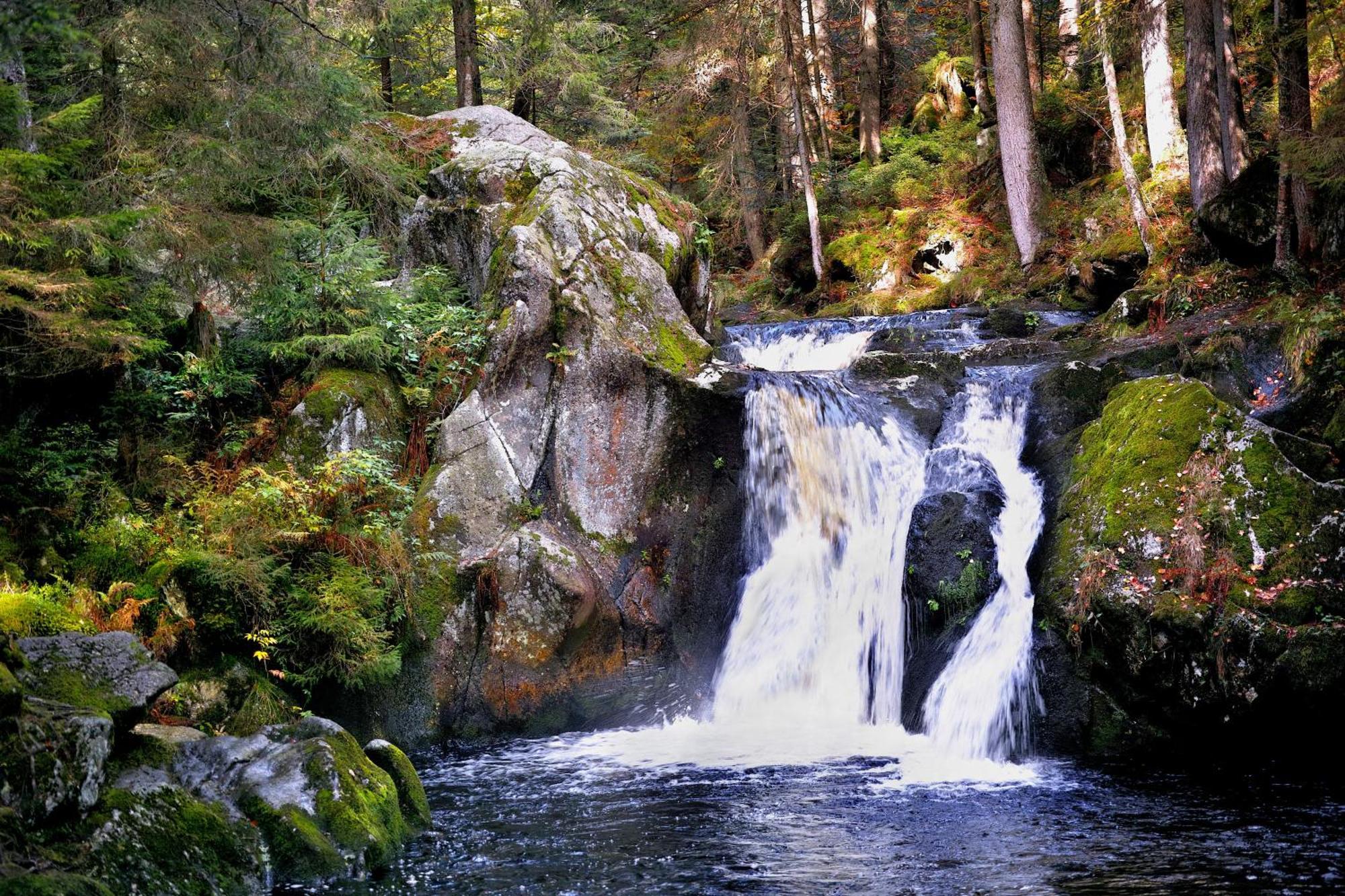 Naturidyll Am Fluss - Ferienhaus Albmatte - Grosser Garten Zum Grillen Und Entspannen-Direkt Neben Dem Radon Revitalbad Mit Sauna Und Thermalbecken St. Blasien Exterior photo