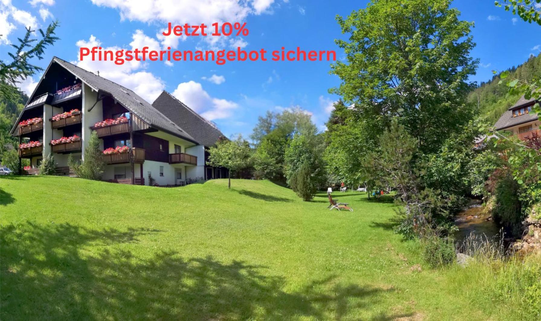 Naturidyll Am Fluss - Ferienhaus Albmatte - Grosser Garten Zum Grillen Und Entspannen-Direkt Neben Dem Radon Revitalbad Mit Sauna Und Thermalbecken St. Blasien Exterior photo